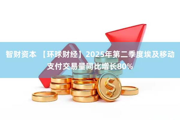智财资本 【环球财经】2025年第二季度埃及移动支付交易量同比增长80%
