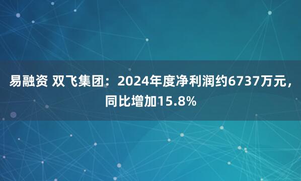 易融资 双飞集团：2024年度净利润约6737万元，同比增加15.8%