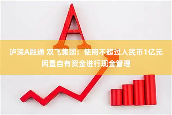 泸深A融通 双飞集团：使用不超过人民币1亿元闲置自有资金进行现金管理