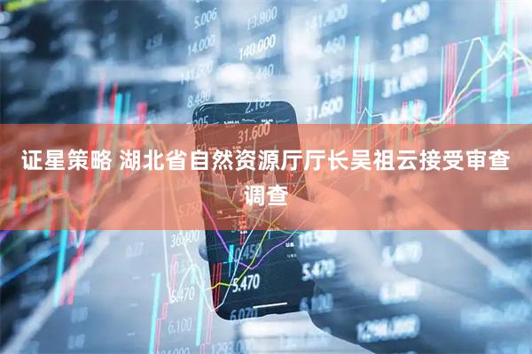 证星策略 湖北省自然资源厅厅长吴祖云接受审查调查