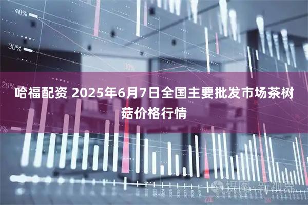 哈福配资 2025年6月7日全国主要批发市场茶树菇价格行情