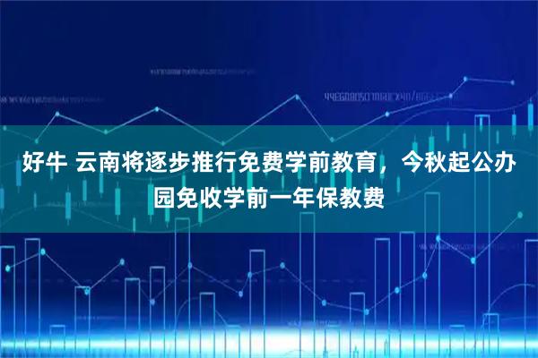 好牛 云南将逐步推行免费学前教育，今秋起公办园免收学前一年保教费