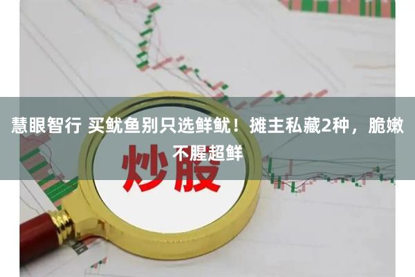 慧眼智行 买鱿鱼别只选鲜鱿！摊主私藏2种，脆嫩不腥超鲜