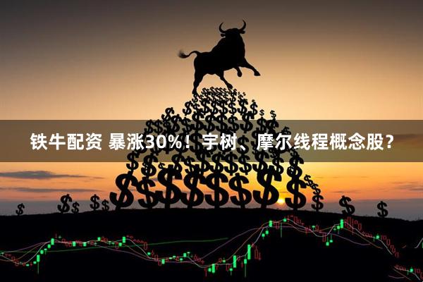 铁牛配资 暴涨30%！宇树、摩尔线程概念股？
