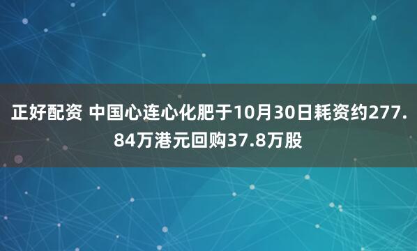 正好配资 中国心连心化肥于10月30日耗资约277.84万港元回购37.8万股