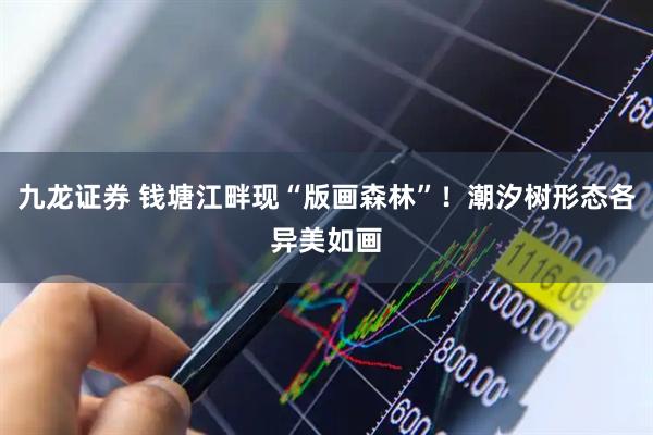 九龙证券 钱塘江畔现“版画森林”！潮汐树形态各异美如画