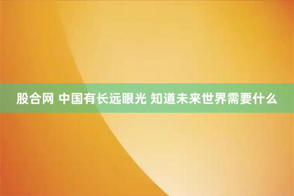 股合网 中国有长远眼光 知道未来世界需要什么