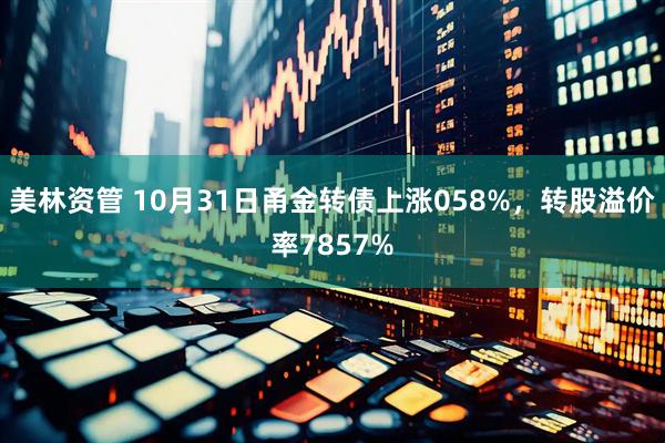 美林资管 10月31日甬金转债上涨058%，转股溢价率7857%